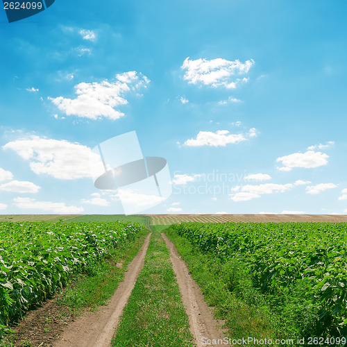 Image of dirty road in green grass and clouds over it