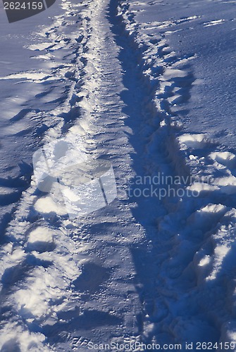 Image of winter footpath