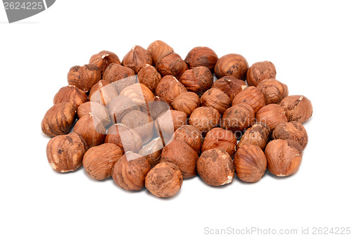 Image of Whole hazelnuts