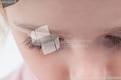 Image of Closeup shot of eyelashes