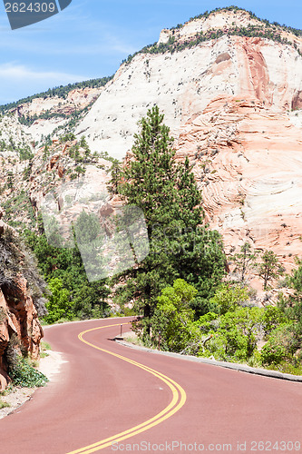 Image of Road in Zion