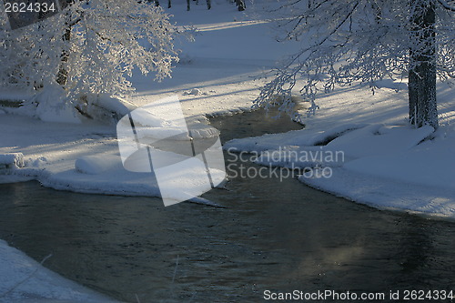 Image of The winter river