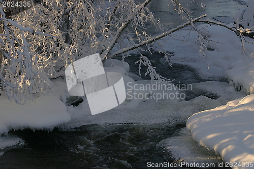 Image of The winter river