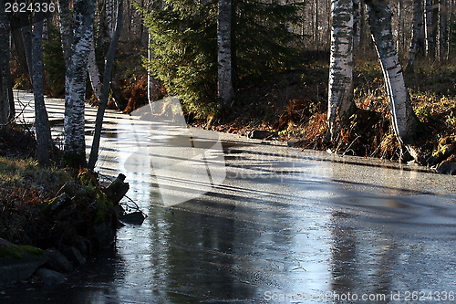 Image of The winter river