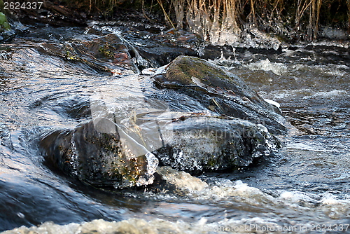 Image of The winter river