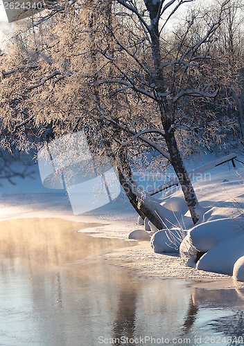 Image of The winter river