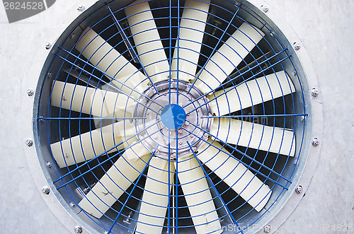 Image of fan 