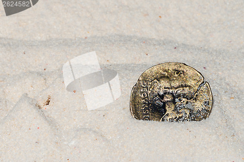 Image of Ancient coin on white sand