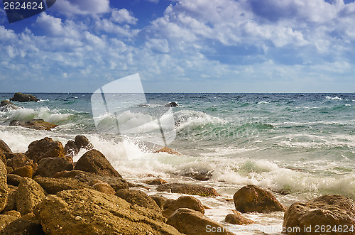 Image of Sea shore