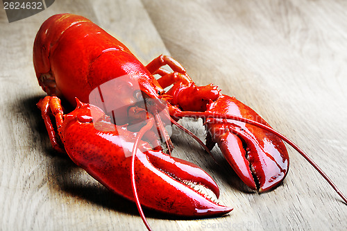 Image of Red Lobster on wood 