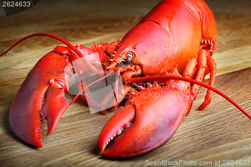 Image of Red Lobster on wood