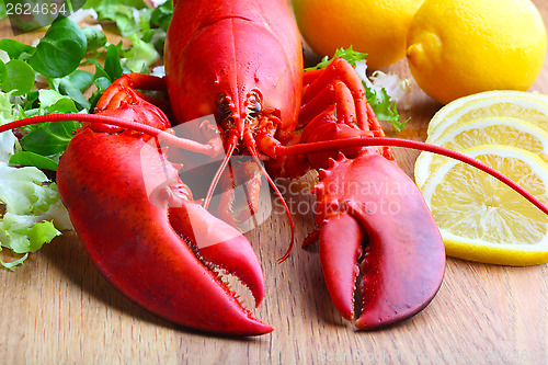 Image of 	boiled lobster