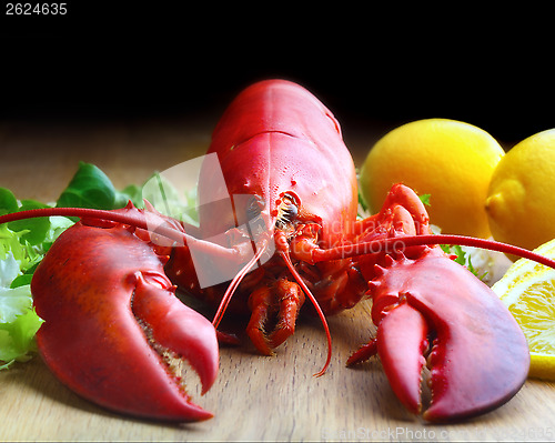 Image of boiled lobster