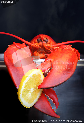 Image of Lobster being boiled