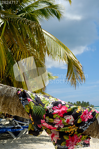 Image of Clothing drying on palm