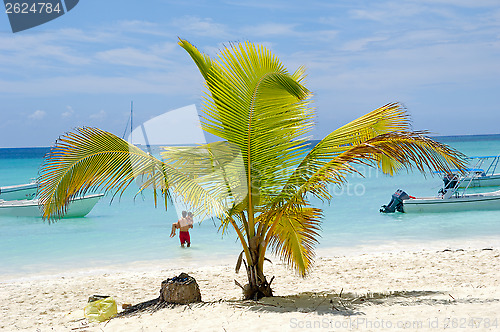 Image of Paradise beach