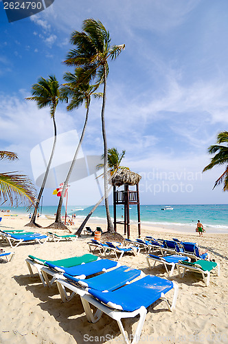 Image of Beach at Saona Island, Dominican Republic