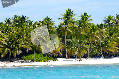 Image of Island with beautiful beach