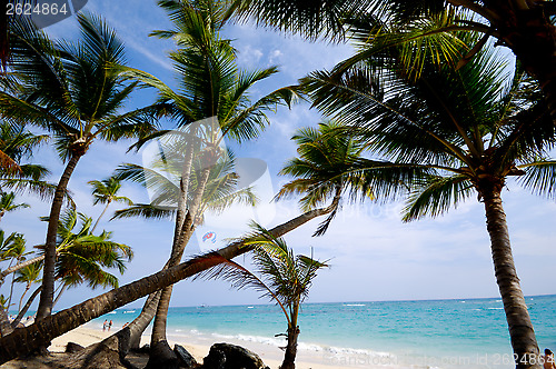 Image of Exotic beach with white sand