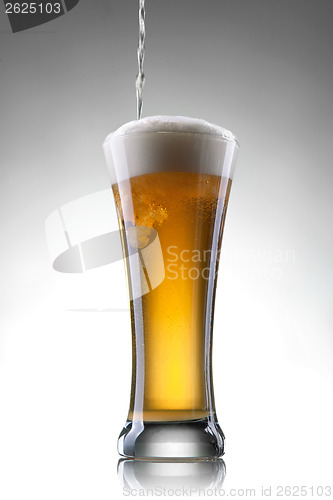 Image of Beer in glass on white background