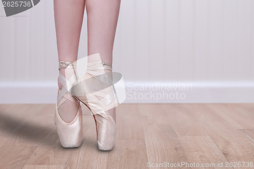 Image of Perfect Ballet Dancer En Pointe With Copy Space