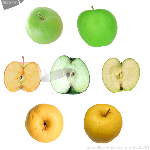 Image of Apple isolated