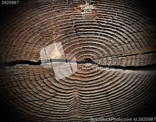 Image of cracked spruce texture