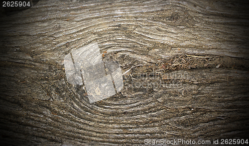 Image of ancient poplar wood with knot