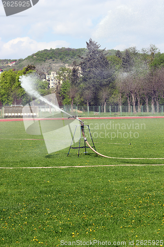 Image of sprinkler in the park