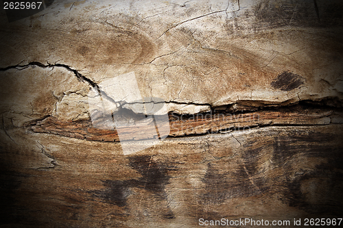 Image of poplar wood cracked texture