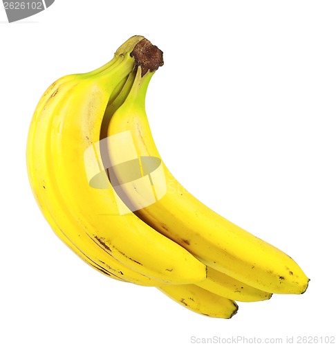 Image of Ripe bananas