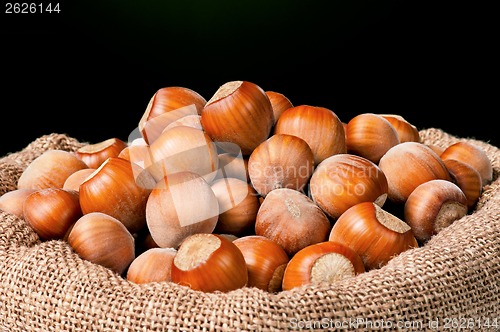 Image of Filberts in bag