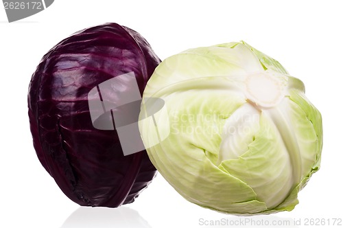 Image of Fresh cabbage