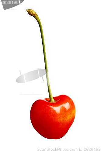 Image of Sweet cherries