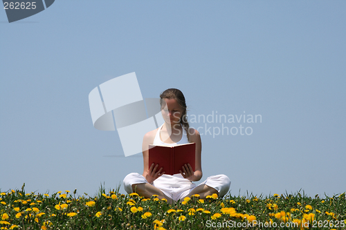 Image of Young woman reading a book in a flowering field