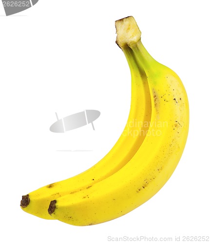 Image of Ripe bananas