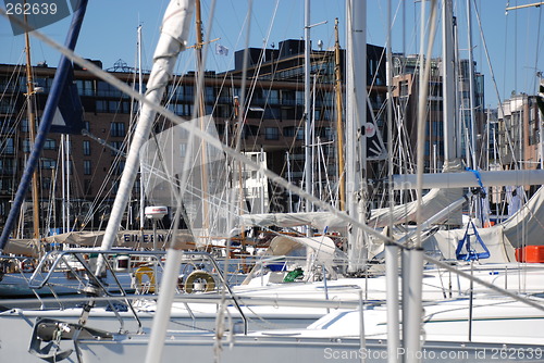 Image of Several sailboats