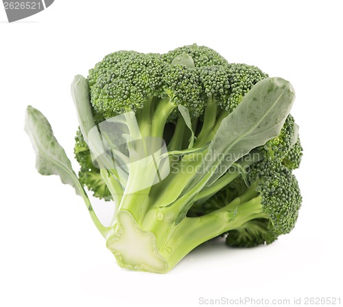 Image of Fresh, Raw, Green Broccoli Pieces