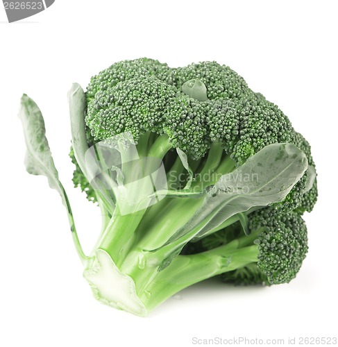 Image of Broccoli vegetable