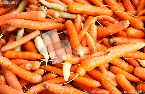 Image of Carrots