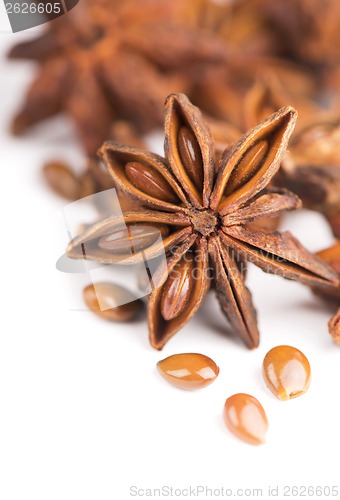 Image of Whole Star Anise isolated on white background