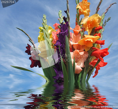 Image of sinking bunch of gladioli flowers