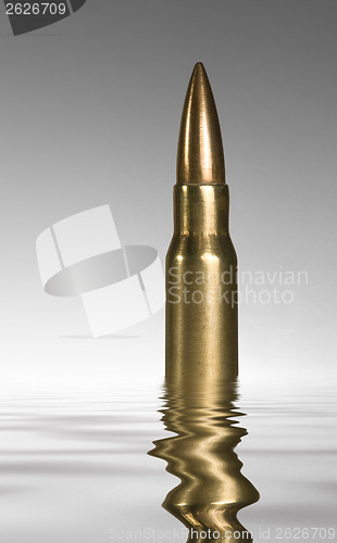 Image of sunken metallic ammunition