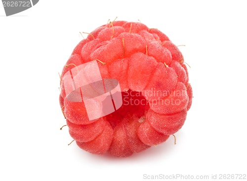 Image of Fresh raspberry