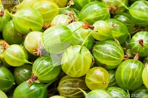 Image of Gooseberries