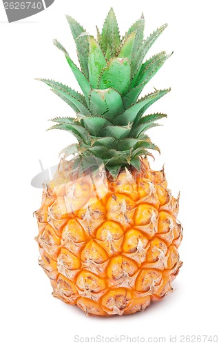 Image of Pineapple