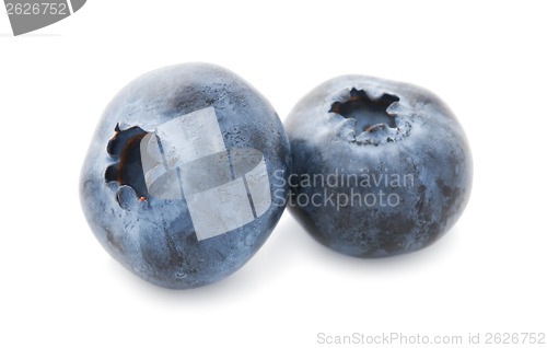 Image of Blueberry