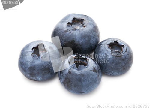 Image of Blueberry