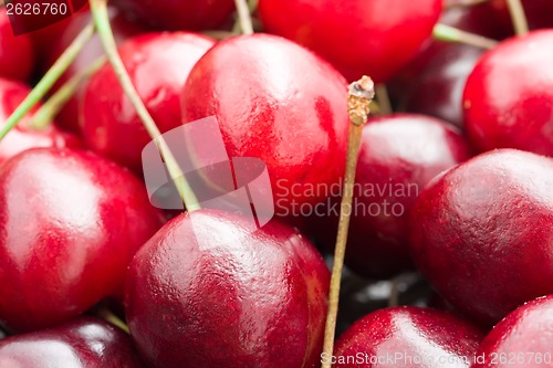 Image of Red cherry