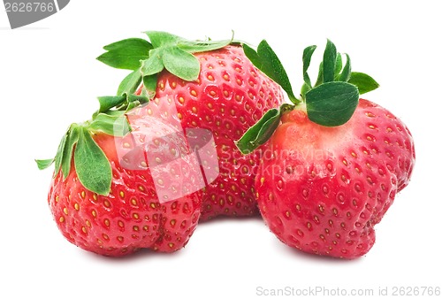 Image of Strawberry